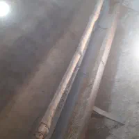 آخور گوسفندی آبخوری بوقلمو