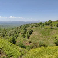 زمین-نیایش-دوکله-590متری