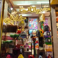 لوازم بهداشتی سگ و گربه پت شاپ شامپو پد اسپری