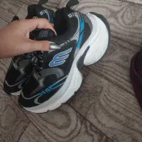 کفش بالنسیگا اصل