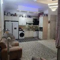 منزل-شیک-ونقلی