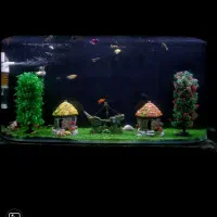 اکواریوم باماهی ولوازم