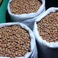 فندوق درجه یک خوشمزه مستقیم بدون واسطه