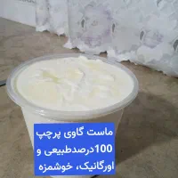 ماست وپنیر صددرصد اورگانیک، طبیعی، با پیک رایگان|خوردنی و آشامیدنی|قم, قلعه کامکار|دیوار