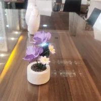 آشپز برای رستوران شهر آفتاب بم