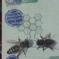 کتاب علوم نهم خیلی سبز
