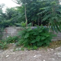 مشار‌‌کت/کوی اساتید