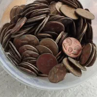 کارها هم خاص هستن|کلکسیون و سرگرمی|بم, |دیوار