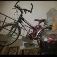 دوچرخه سالم