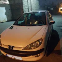 ۲۰۶ اس دی فول