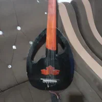 عود الکترواگوستیک