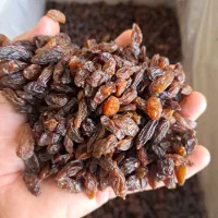 کشمش افتابی