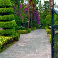 2300مترویلاساحلی پلاک اول درشهرکی برند چلک|فروش خانه و ویلا|نوشهر, |دیوار