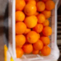 فروش پرتقال خونی وتامسون|عمده‌فروشی|خرم‌آباد (تنکابن), |دیوار