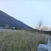 زمین ۲۰۰ متر فروش و تهاتر محدوده نمک آبرود