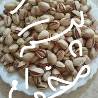 در زمینه ی صادرات پسته کمک میخوام|فعالیت داوطلبانه|یزد, |دیوار