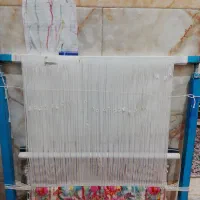 قالی