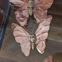 پروانه های مسی