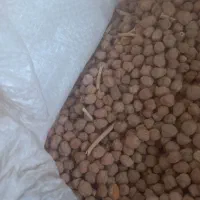 نخود پاکونا