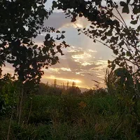 زمین زراعی خوش موقعیت|فروش دفتر صنعتی، کشاورزی، تجاری|خرمدره, |دیوار