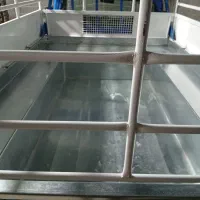 نیسان وانت دوگانه صفر 403|خودرو سواری و وانت|شیراز, برمشور علیا|دیوار