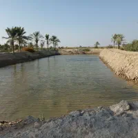 فروش-33000متر-مربع-مزرعه-ترکیبی