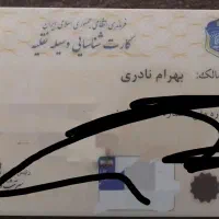 کارت پیدا شده