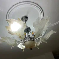 لوستر پذیرایی