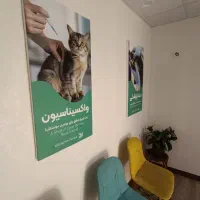 دوره مهارتی تزریقات و واکسیناسیون دامپزشکی