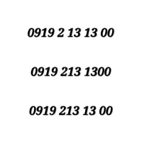 0919-213-1300