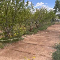 باغ ویلا روستای حسن آباد فیروزکوه (تنگه واشی)|فروش خانه و ویلا|فیروزکوه, |دیوار