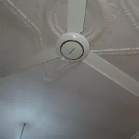 پنکه