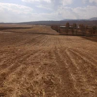 زمین باغ ویلا ومخصوص طرح گل خانه