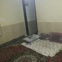 خونه دارم دربست همخونه میخوام|اجارهٔ خانه و ویلا|مشهد, کوی دروی|دیوار