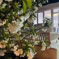 اجاره ویلا باغ.همراه با عکاس.مناسب دورهمی.جشن تولد