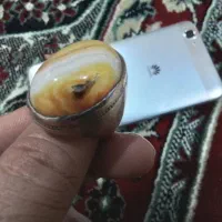 انگشتر|بدلیجات|شاهینشهر, حاجی آباد|دیوار