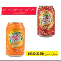 استخدام ویزیتور