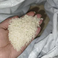 برنج طارم هاشمی اصل