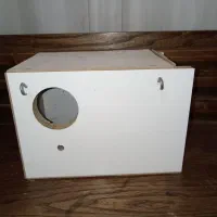 لانه ی طوطی