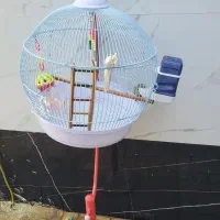 قفس پرنده مدل گرد