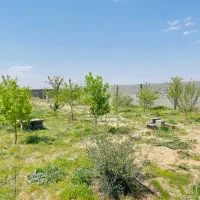 باغچه باغ با درختان ۵ ساله اب و برق ( ماریان)