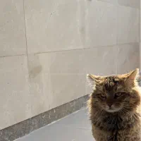 رهن-و-اجاره-ملک-ویلایی