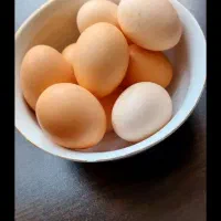 تخم مرغ محلی