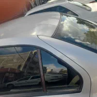 سمند معمولی ۸۴