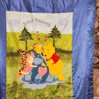 روتختی|سرویس روتختی|اصفهان, باغ فدک|دیوار