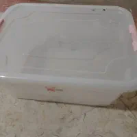 باکس شفاف جانونی|ظروف نگهدارنده، پلاستیکی، یکبارمصرف|تهران, شیوا|دیوار