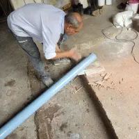 بنا دائم می‌خوام