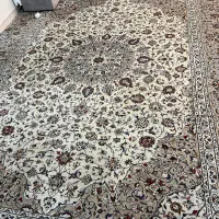 فرش دستبافت کاشان کرم ۱۲ و ۶ متری