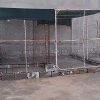 قفس|لوازم جانبی حیوانات|برازجان, |دیوار