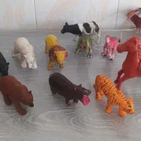 اسباب بازی متنوع وزیبا|اسباب‌‌بازی|شال, |دیوار